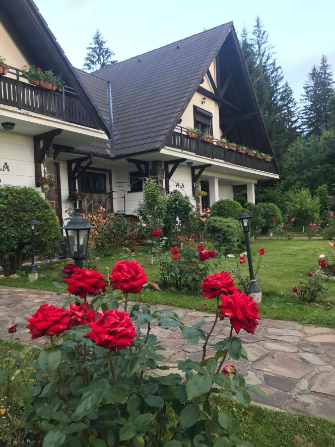 Complex Vile- Milana M Residence Poiana Brasov Exteriör bild